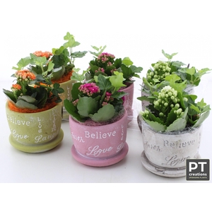 ARR TUINPLANTEN