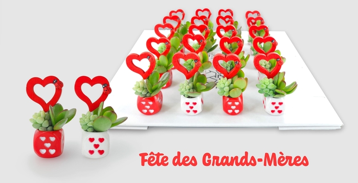 <h4>ARR SUCCULENTEN</h4>