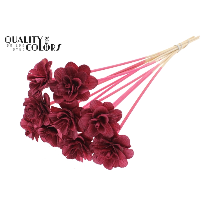 <h4>Beetal Rose 6cm on stem Burgundy</h4>