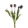 AF Tulip Bundle x5 L43cm Mix M