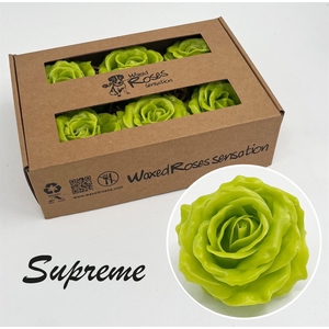 Zijde R Supreme Olijf Groen Wx