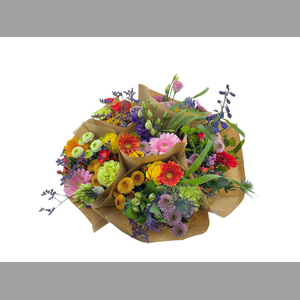BQ 10 stems Mixed