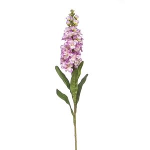 Matthiola spray lt purple 80cm