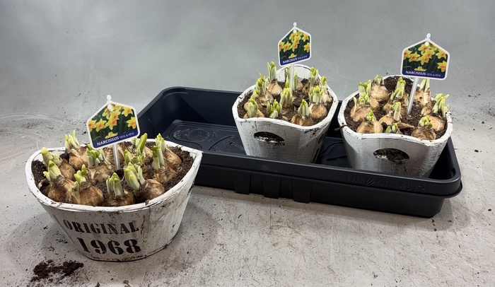 <h4>ARR N TETE A TETE</h4>