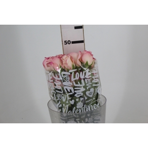 ROSA VANIA 050 CM ESTUFA