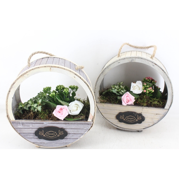 <h4>Arr2 Td - Houten Wiel X4 - Roze/wit</h4>