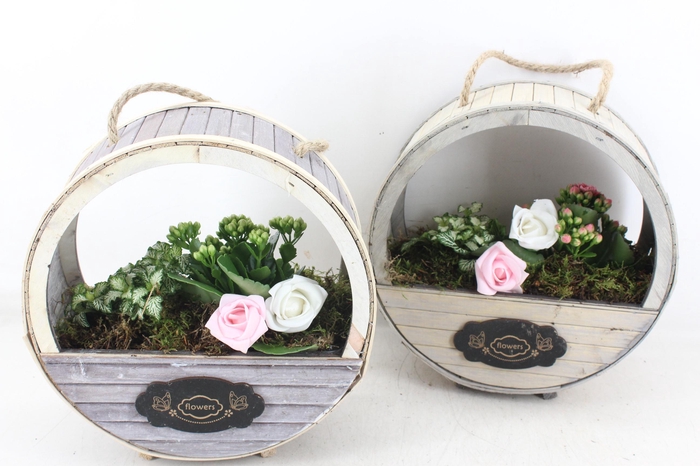 Arr2 Td - Houten Wiel X4 - Roze/wit