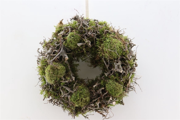 <h4>Wr Mix Bonsai Boll Moss 35cm</h4>