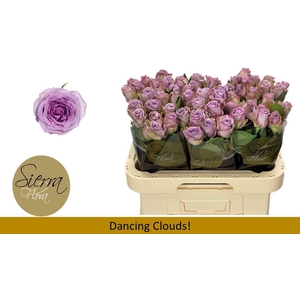 R Gr Dancing Clouds!