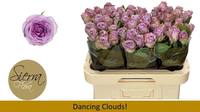 <h4>R Gr Dancing Clouds!</h4>