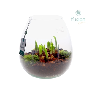 Green Bottle Abby XLarge met Narcis