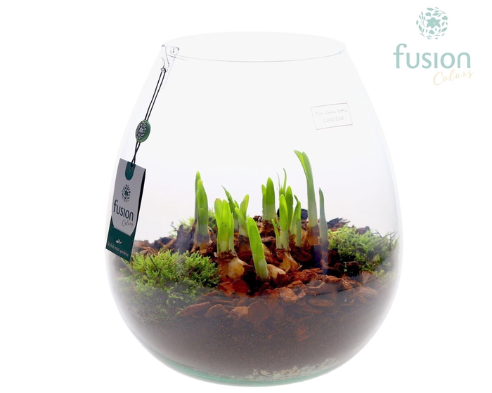 <h4>Green Bottle Abby XLarge met Narcis</h4>