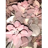 CORNUS ROT