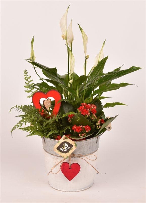 <h4>Zink emmer wit/gy met hart 15,5cm</h4>