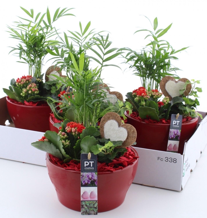 <h4>ARR KAMERPL</h4>