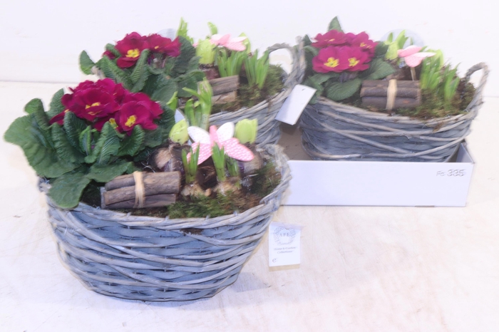 <h4>ARR TUINPLANTEN</h4>