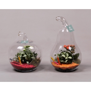 Peer en Appel glas met kamerplanten back to school