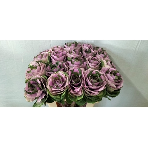BRASS CRANE PINK