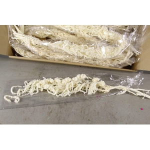 PF Amaranthus Hang Bleach Bs