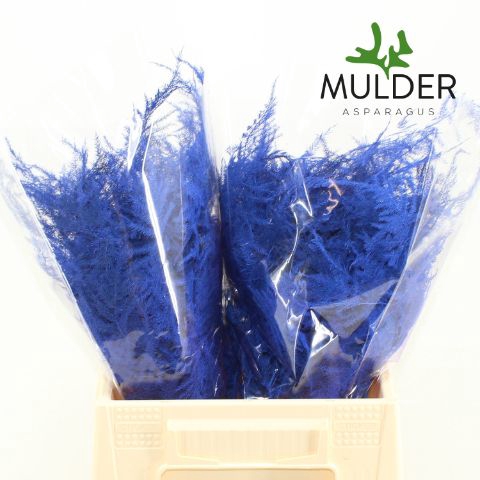 <h4>Snijgroen Dark Blue 1e Veren</h4>