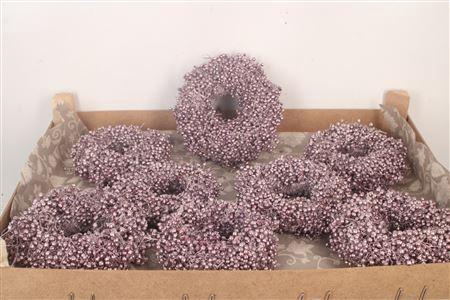 <h4>Krans Schinus Met. Purple 12cm</h4>