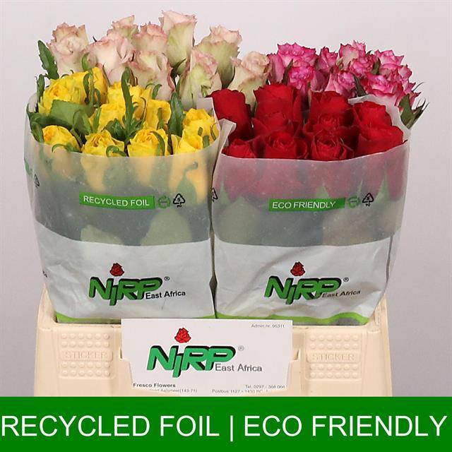 <h4>Rosa large mix in bucket</h4>
