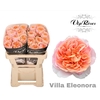 R GR VILLA ELEONORA x40