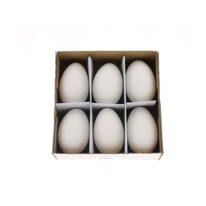 Egg Goose Xl White Box (6 Pcs)