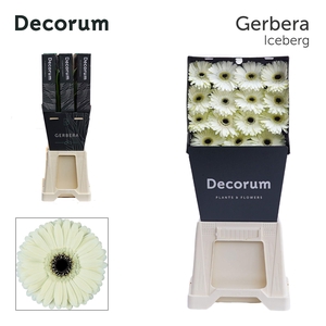 GE GR ICEBERG