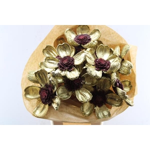 Droog Pineflower Gold/red Hart