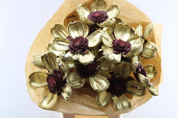 <h4>Droog Pineflower Gold/red Hart</h4>