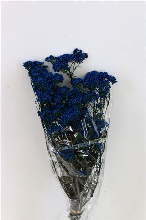 <h4>Pres Rice Flowers Dark Blue 150gr Bunch</h4>