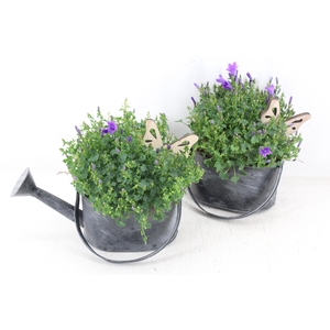 arr4 Outdoor JS - Zink gieter black