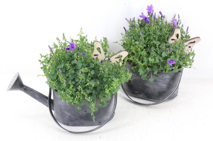 <h4>arr4 Outdoor JS - Zink gieter black</h4>