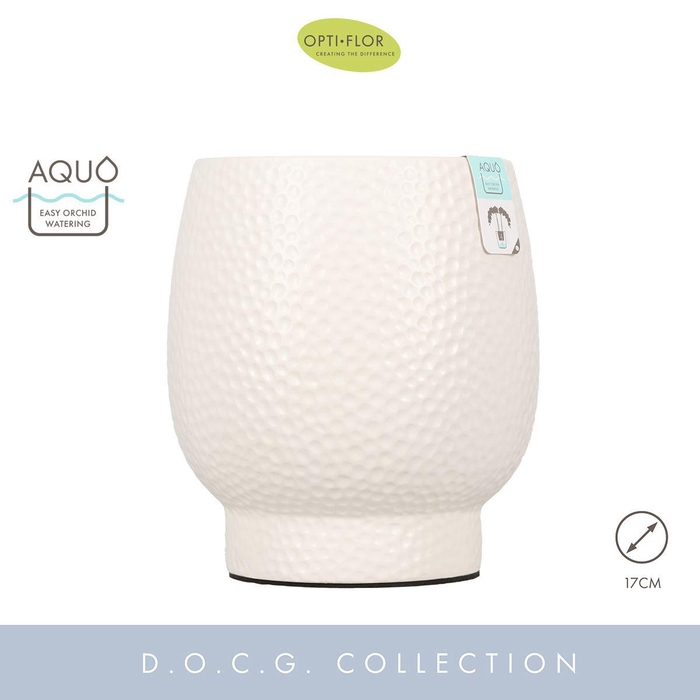 <h4>Abruzzo White 17 cm Aquo</h4>