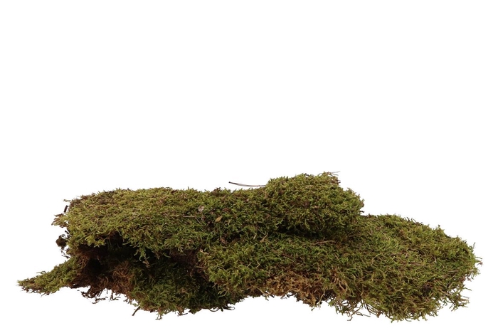 <h4>Moss Flat Natural A 1 Kilo</h4>