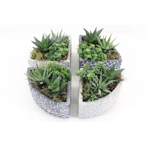 arr3 SN - Puzzel pot kwart L 999/4