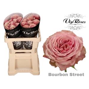 R GR BOURBON STREET x 20