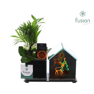 Glazen Huis LED planter met Arrangement