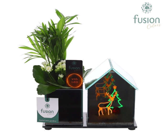 <h4>Glazen Huis LED planter met Arrangement</h4>