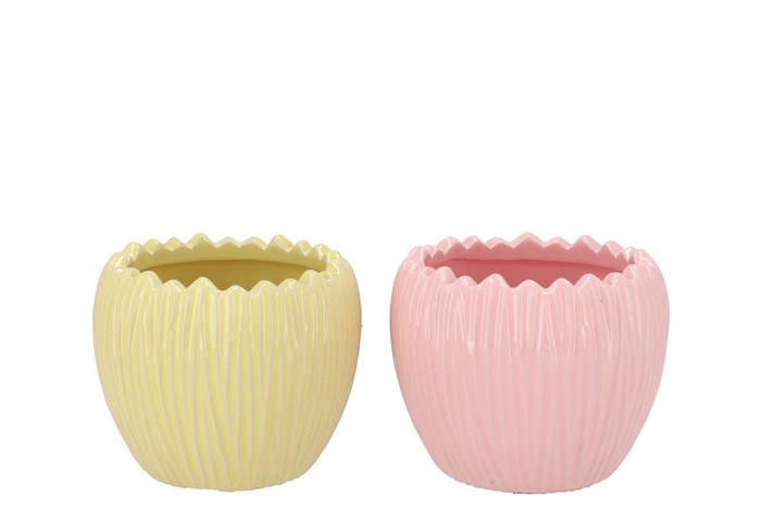 <h4>Ella Pink Yellow Pot Round Ass 14x14x12cm</h4>