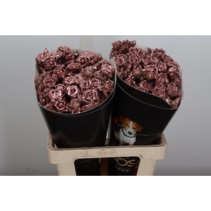 Wax-Rozen Wax Tros Koper