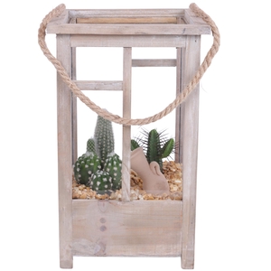 Yearround Arr. Cactus Wooden Lantern pot Brown mix/3 Ø19cm 3PP