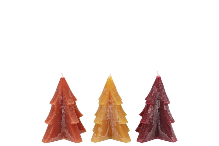 <h4>Candle Frosty Pine Tree Autumn Spices Mix 6x8cm Ass</h4>
