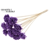 Shola Karnish Flower 6cm on stem Wax Milka