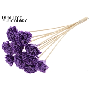 Shola Karnish Flower 6cm on stem Wax Milka