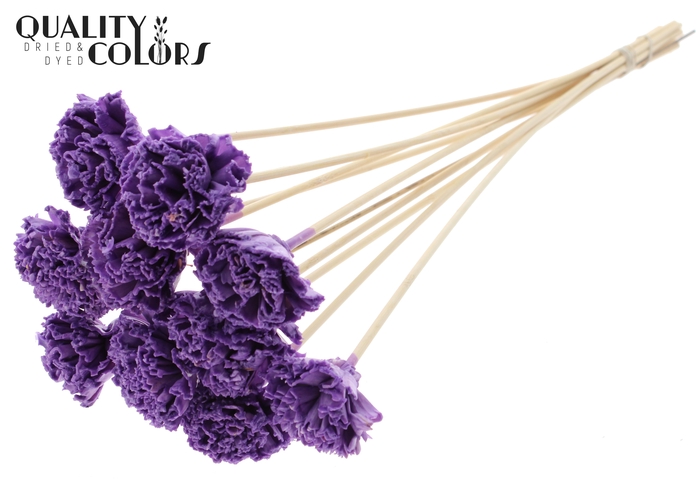 Shola Karnish Flower 6cm on stem Wax Milka