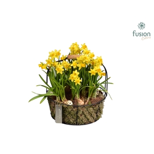 Metaal rek met Narcis Tat