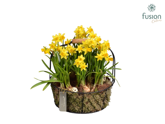 <h4>Metaal rek met Narcis Tat</h4>