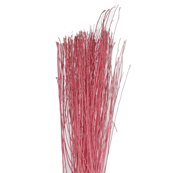 <h4>Droogdeco Yanagi branch 250g 85cm</h4>